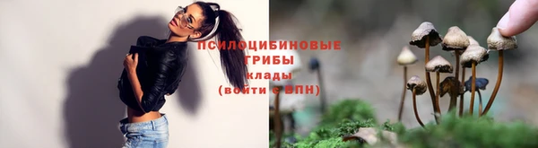 стафф Нефтегорск