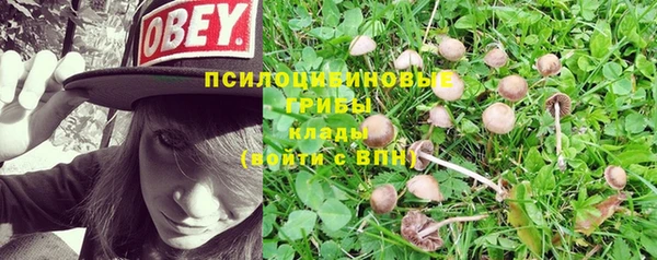 стафф Нефтегорск