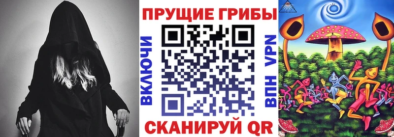 сколько стоит  Бикин  Галлюциногенные грибы мицелий 